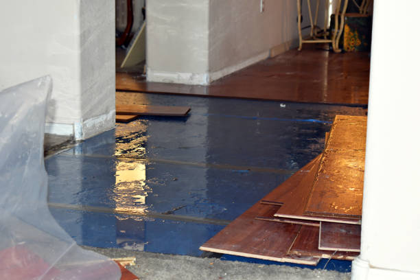 Professional Basement Flood Cleanup technician working in Tilleda, WI